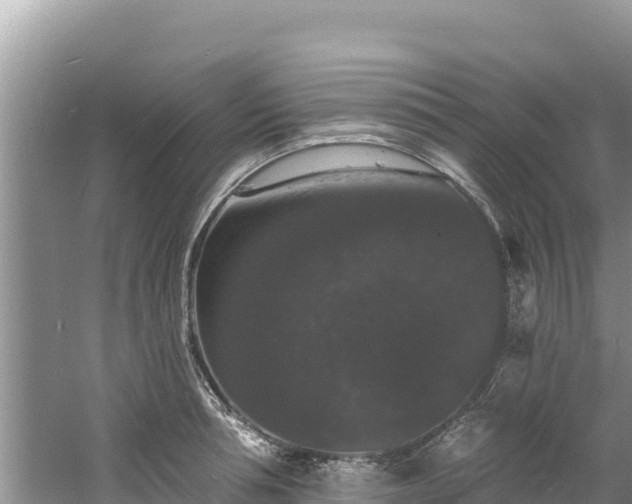 X0000060790994200511141439