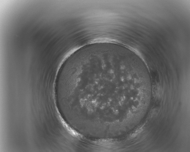 X0000060790995200511141439