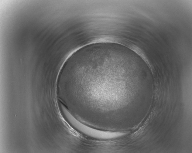 X0000060790996200511141439