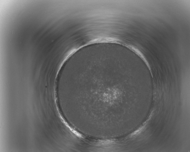 X0000060790997200511141439