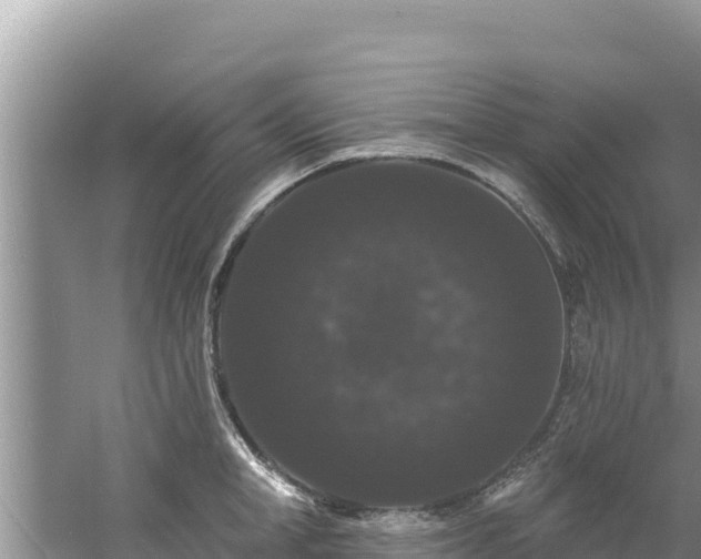 X0000060790998200511141439