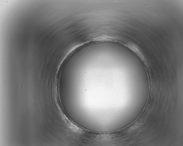 X0000060791000200511141439