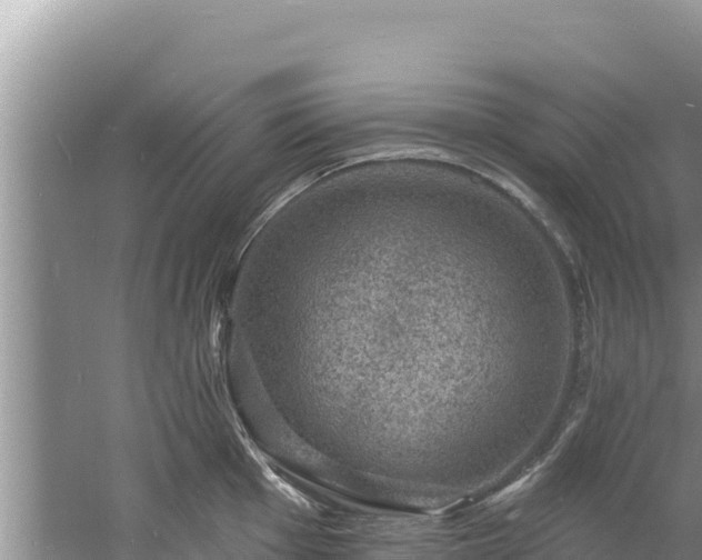 X0000060791001200511141439