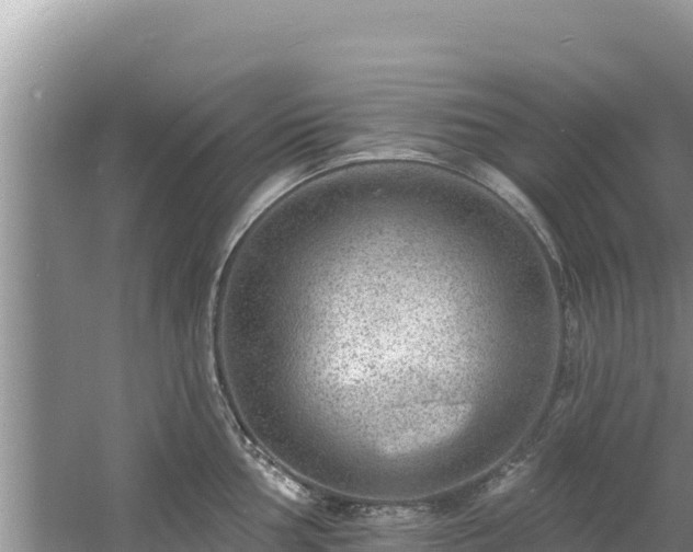 X0000060791002200511141439