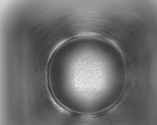 X0000060791003200511141438