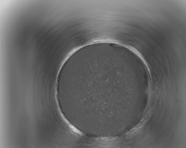 X0000060791005200511141438