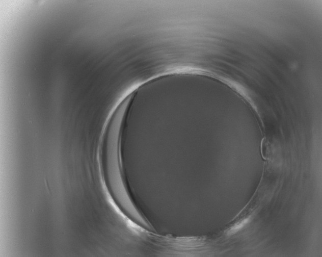 X0000060791007200511141438