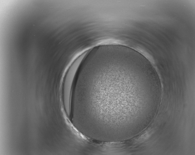 X0000060791008200511141438