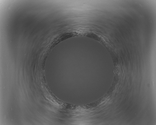 X0000060791009200511141438