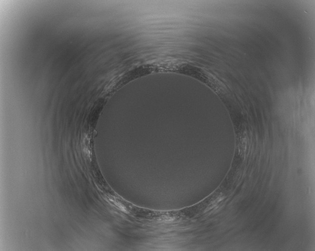 X0000060791010200511141438