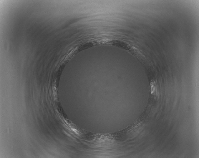 X0000060791011200511141438