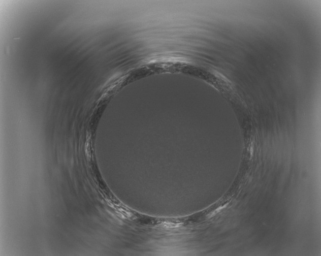 X0000060791014200511141438