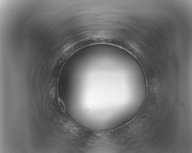 X0000060791015200511141438