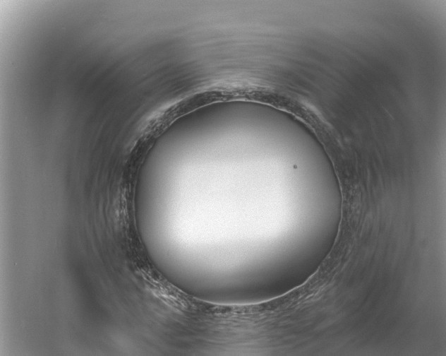 X0000060791016200511141438