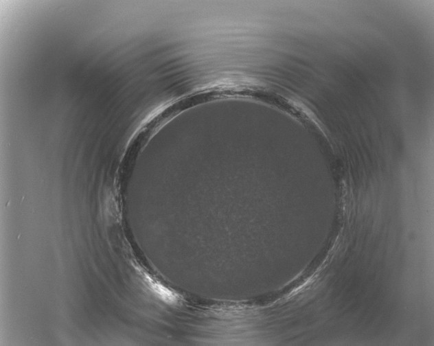 X0000060791018200511141438