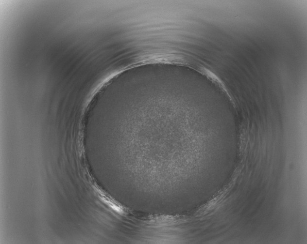 X0000060791019200511141438