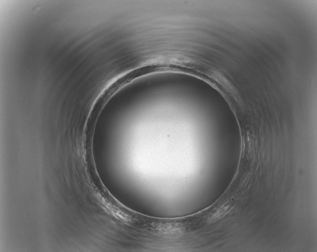 X0000060791020200511141438