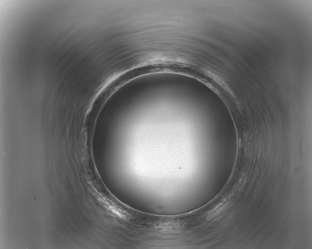 X0000060791021200511141438