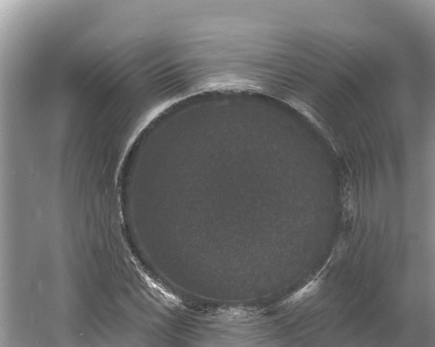 X0000060791022200511141438