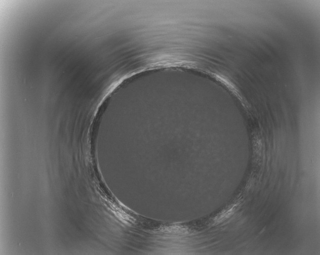 X0000060791023200511141438