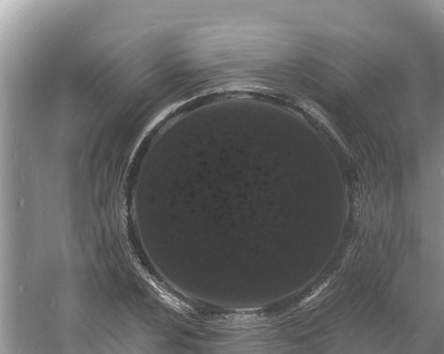 X0000060791024200511141438