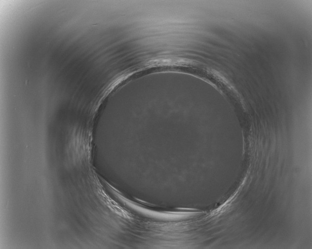 X0000060791025200511141438