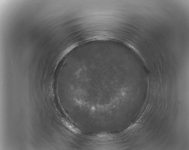 X0000060791026200511141438