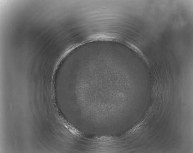 X0000060791027200511141438