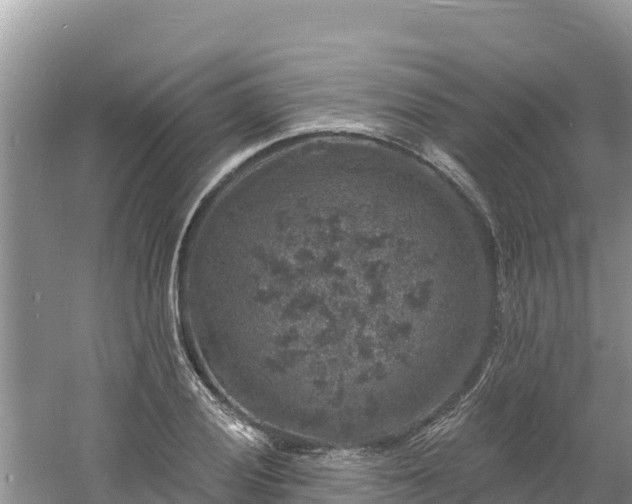 X0000060791028200511141438