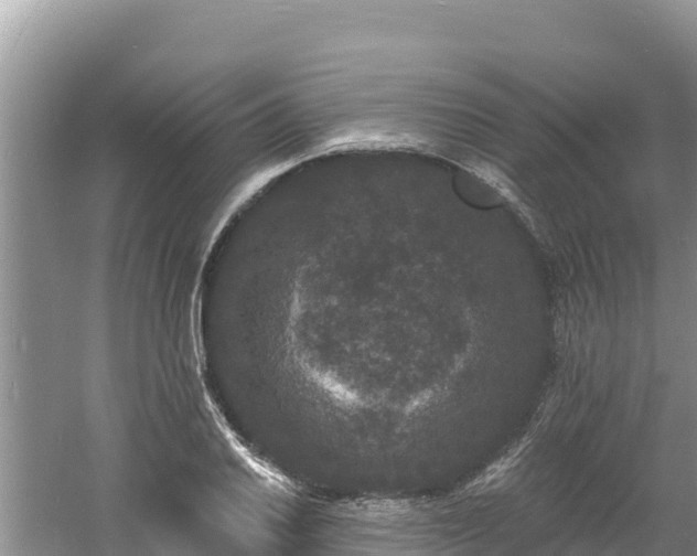 X0000060791030200511141438