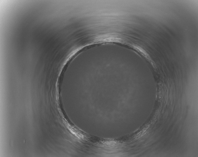 X0000060791031200511141438