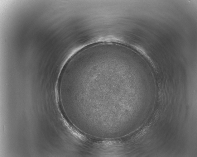 X0000060791032200511141438