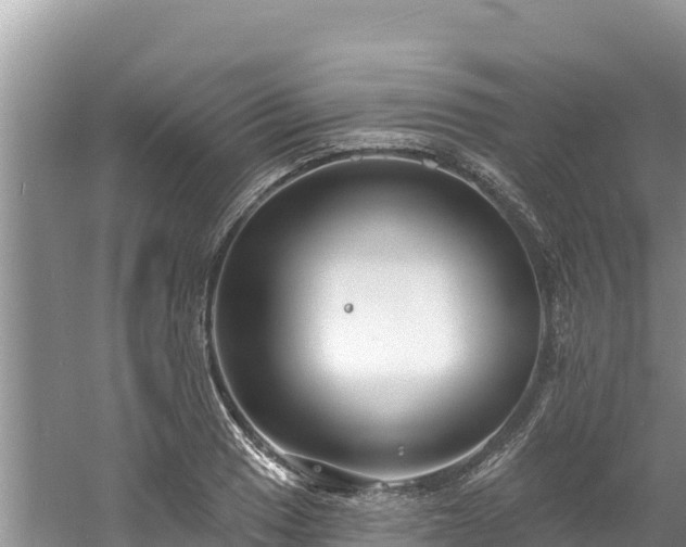 X0000060791033200511141438