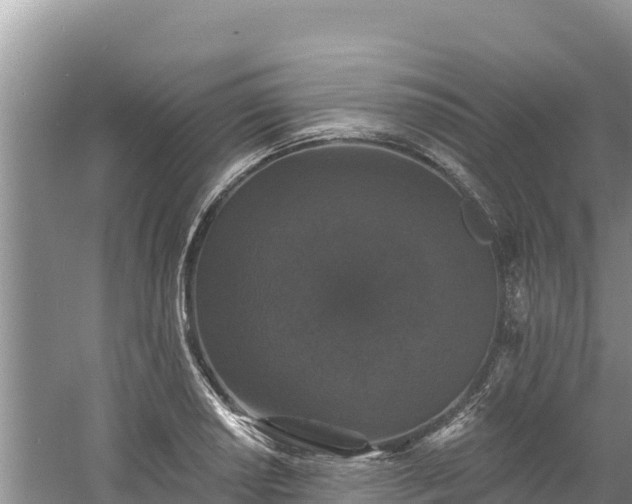 X0000060791034200511141438