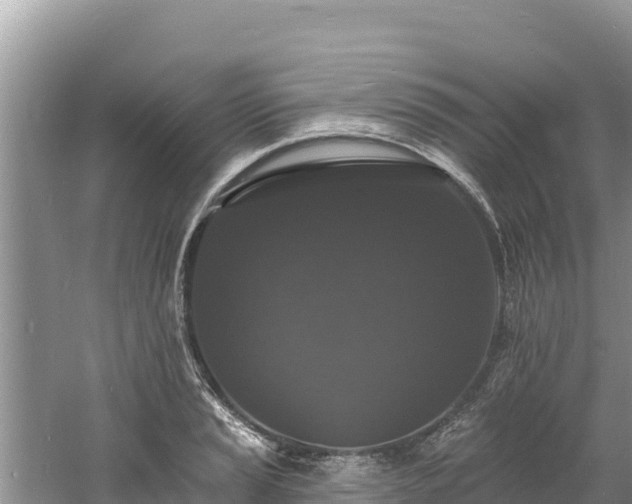 X0000060791037200511141438