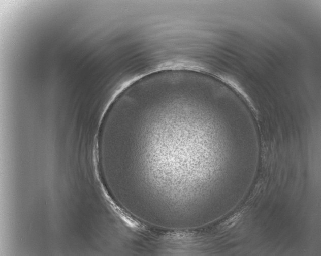 X0000060791040200511141438