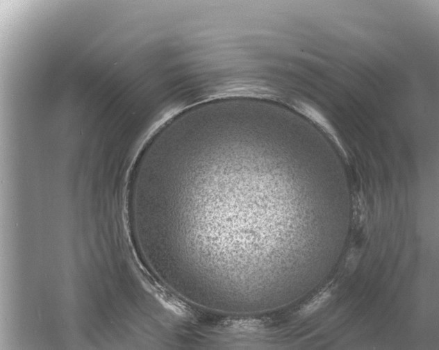 X0000060791043200511141438