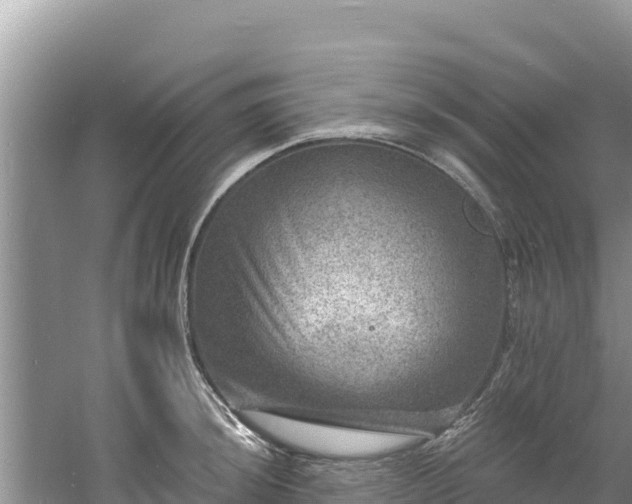 X0000060791044200511141438