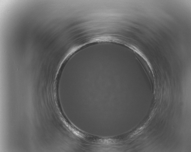 X0000060791045200511141438