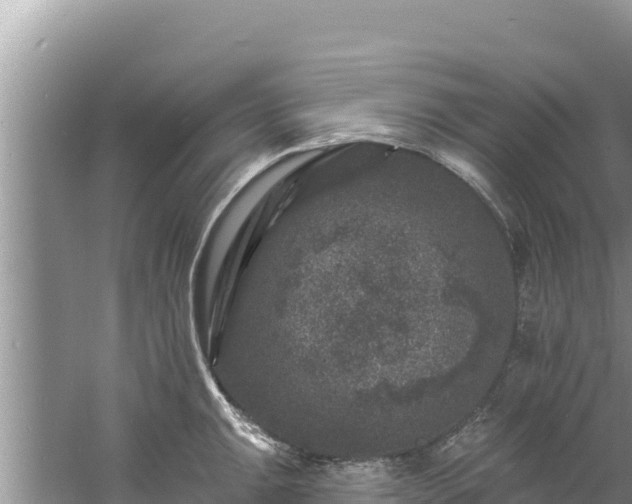 X0000060791047200511141438