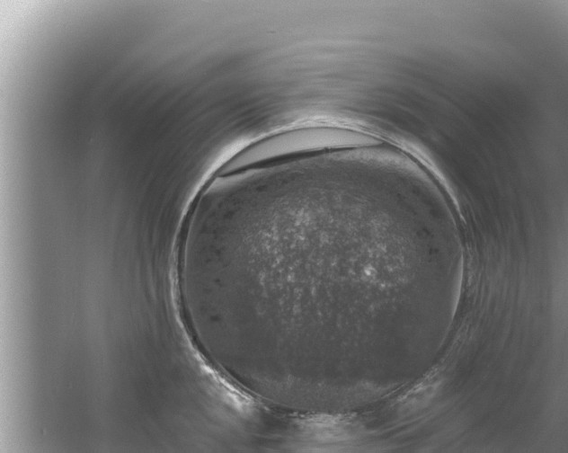 X0000060791048200511141438