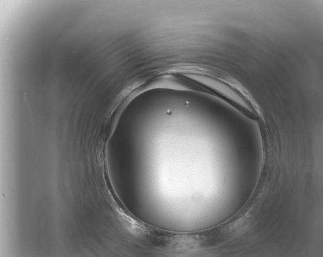 X0000060791049200511141438