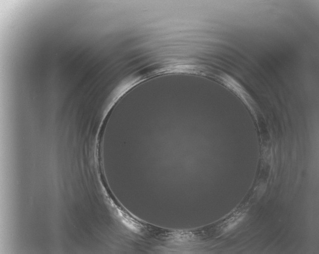 X0000060791050200511141438