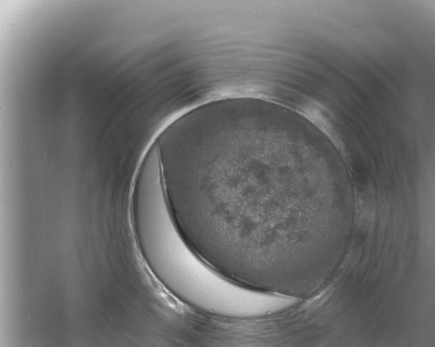 X0000060791052200511141438