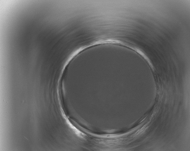 X0000060791054200511141438