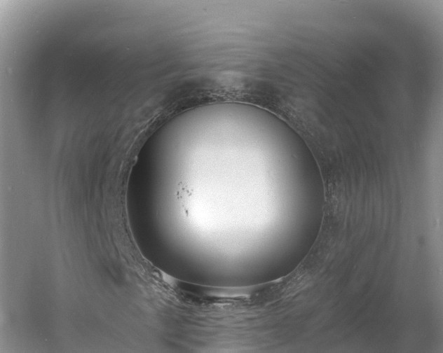 X0000060791057200511141438