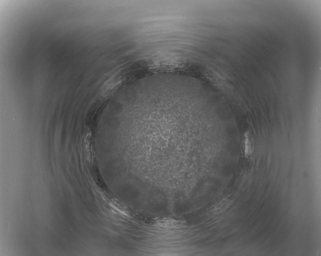 X0000060791059200511141438