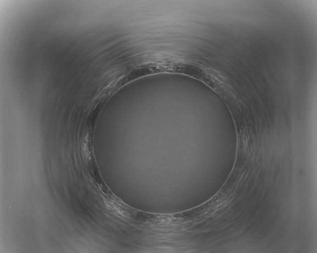 X0000060791060200511141438