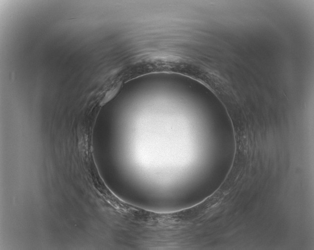 X0000060791061200511141438