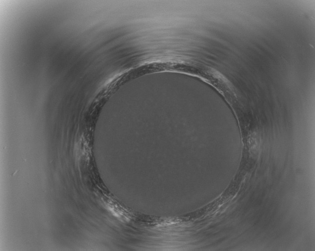 X0000060791064200511141437